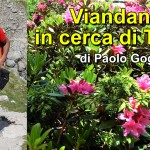 Amore con il Mondo - Puntata N. 18