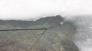 Paolo Goglio- action rod su lago ghiacciato 4
